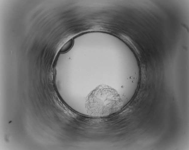 X0000100331292200806261252