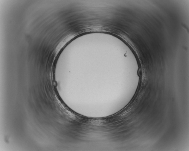 X0000100331293200806261252