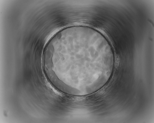 X0000100331294200806261252