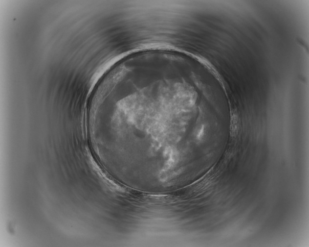 X0000100331295200806261252