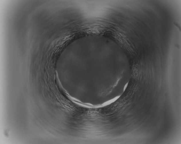 X0000100331297200806261252