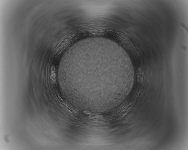 X0000100331298200806261252