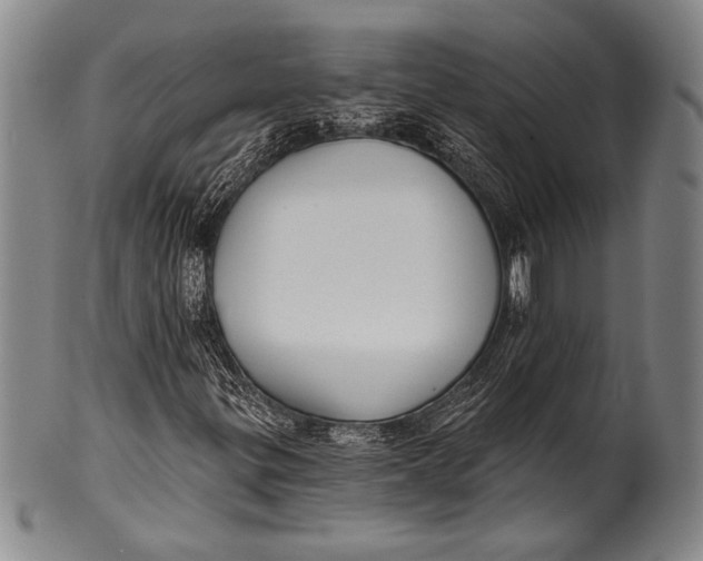 X0000100331299200806261252