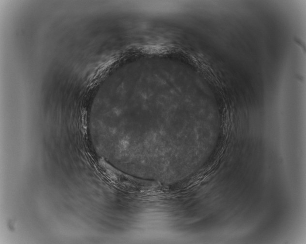 X0000100331301200806261252