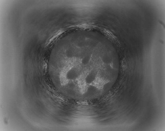 X0000100331302200806261252