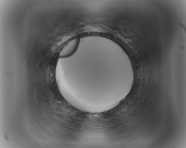 X0000100331303200806261252