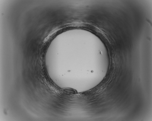 X0000100331304200806261252