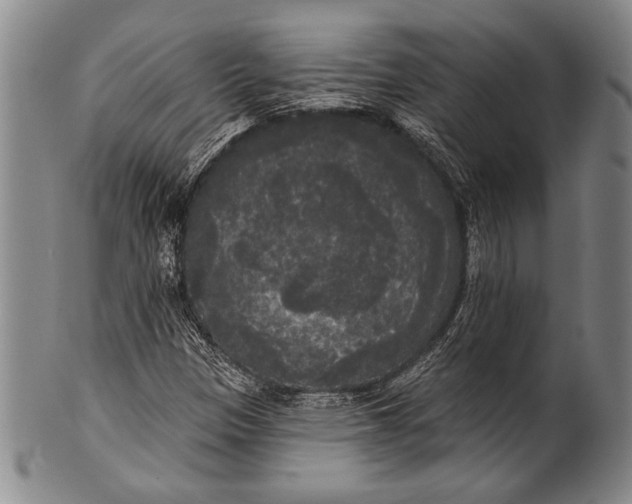 X0000100331305200806261252