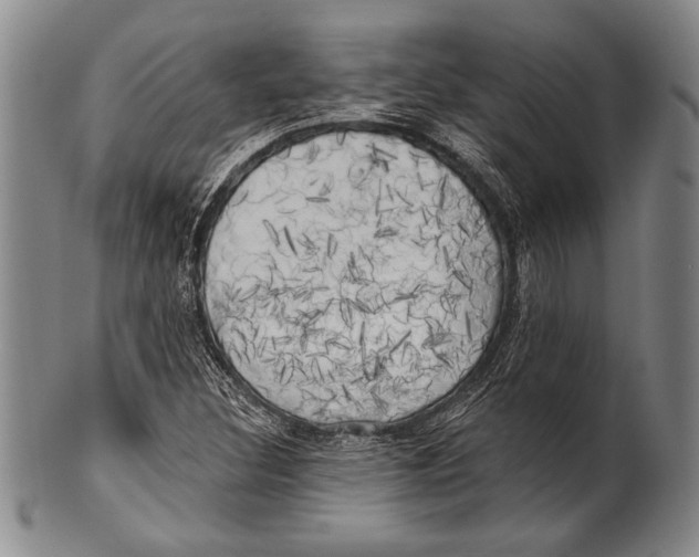 X0000100331308200806261252