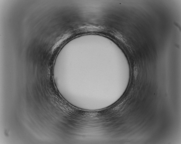 X0000100331309200806261252