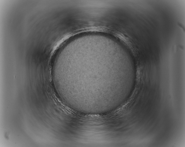 X0000100331310200806261252