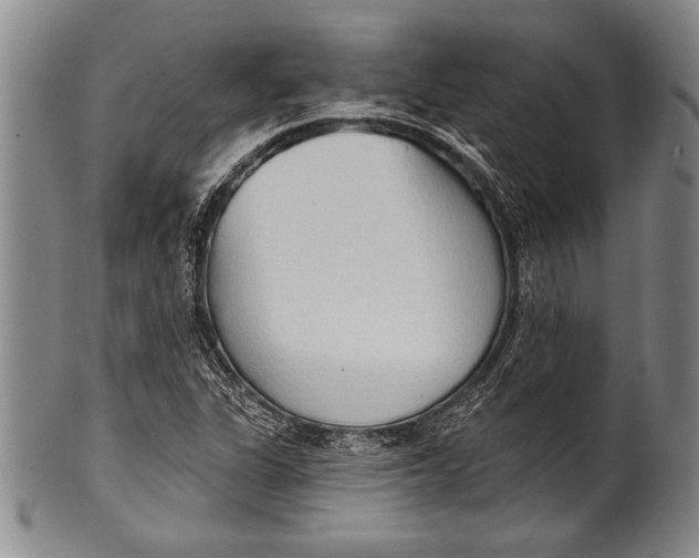 X0000100331311200806261252