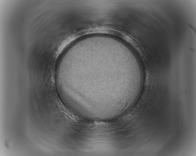 X0000100331312200806261252