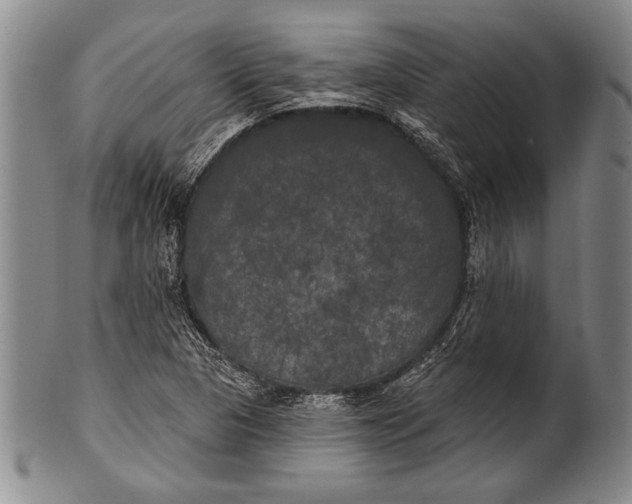 X0000100331313200806261252