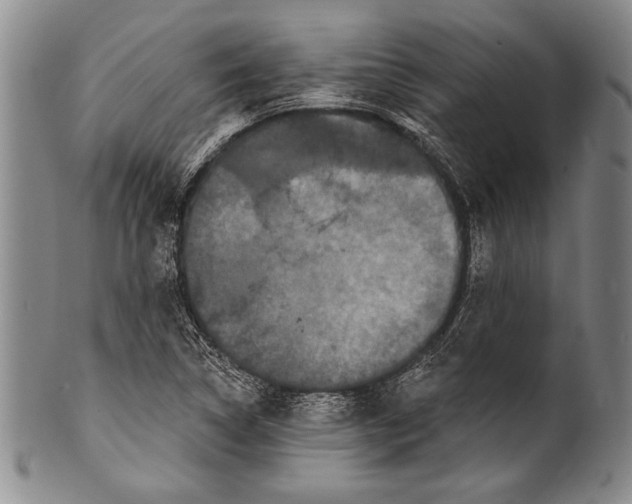 X0000100331314200806261252