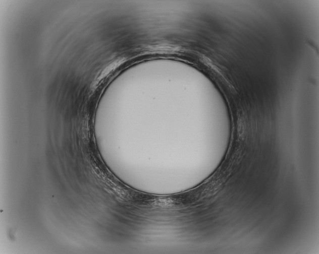 X0000100331315200806261252