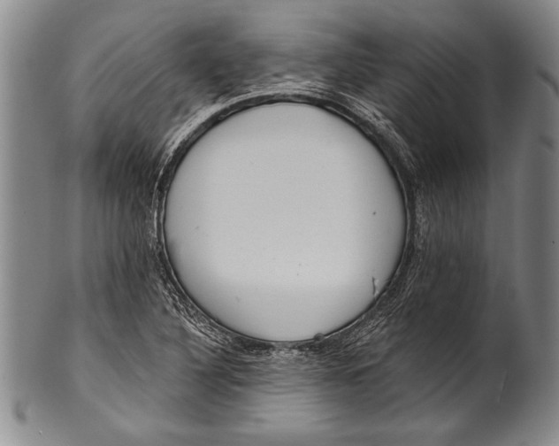 X0000100331316200806261252