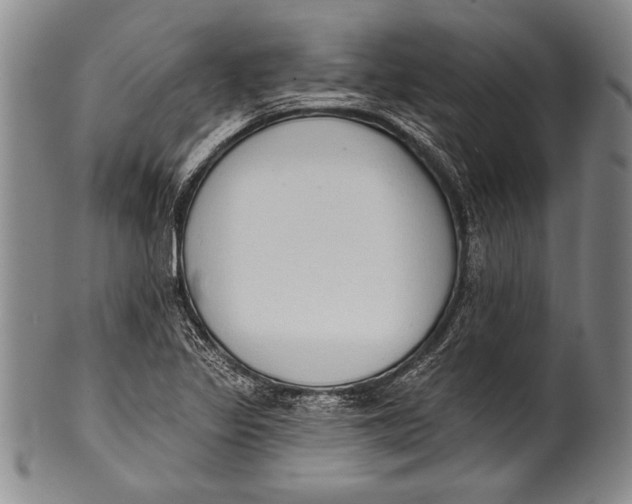 X0000100331317200806261252