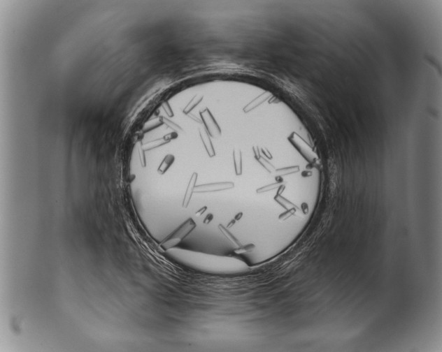 X0000100331318200806261252