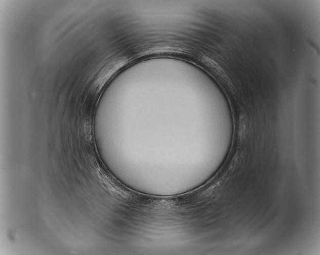 X0000100331321200806261252