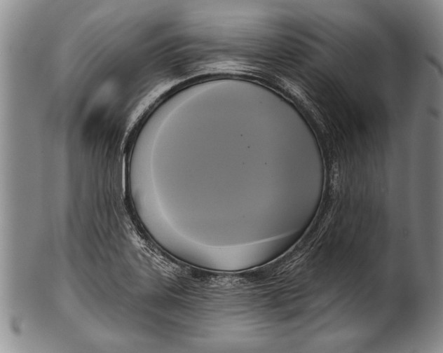 X0000100331323200806261252