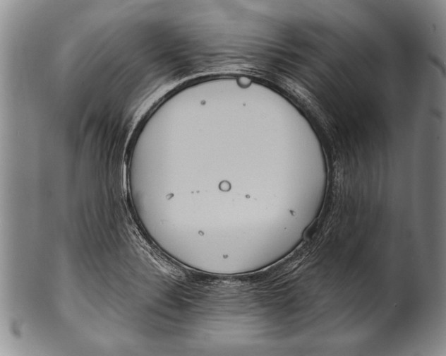 X0000100331324200806261252