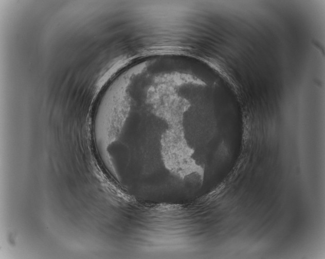 X0000100331325200806261252