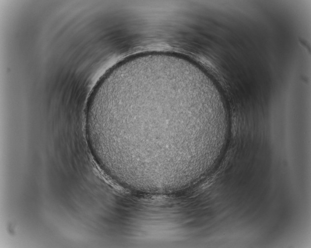 X0000100331326200806261252