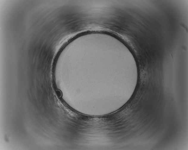 X0000100331327200806261252