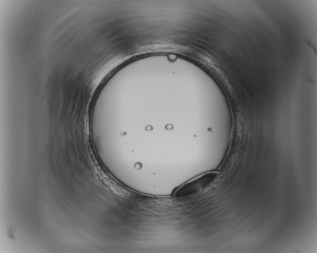 X0000100331328200806261252