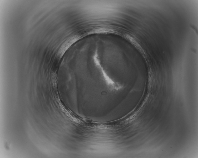 X0000100331329200806261252