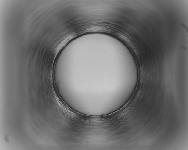 X0000100331330200806261252