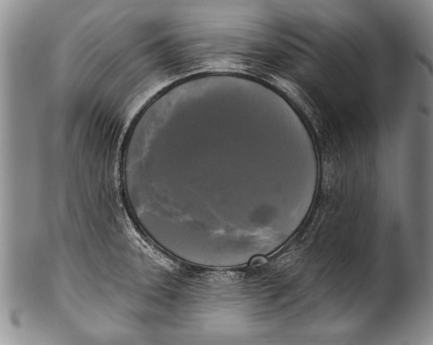 X0000100331331200806261252