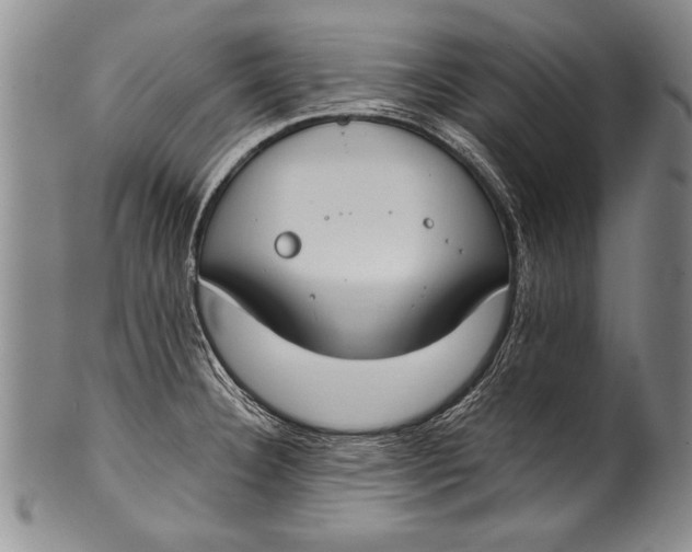 X0000100331332200806261252