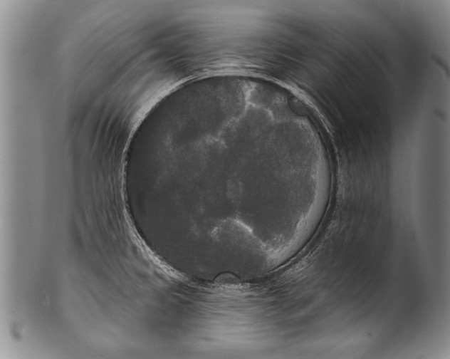 X0000100331333200806261252