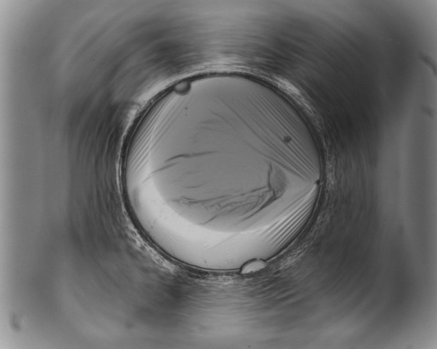 X0000100331334200806261252