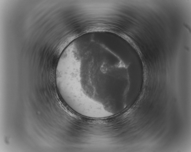 X0000100331337200806261252