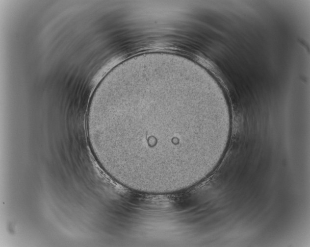 X0000100331338200806261252