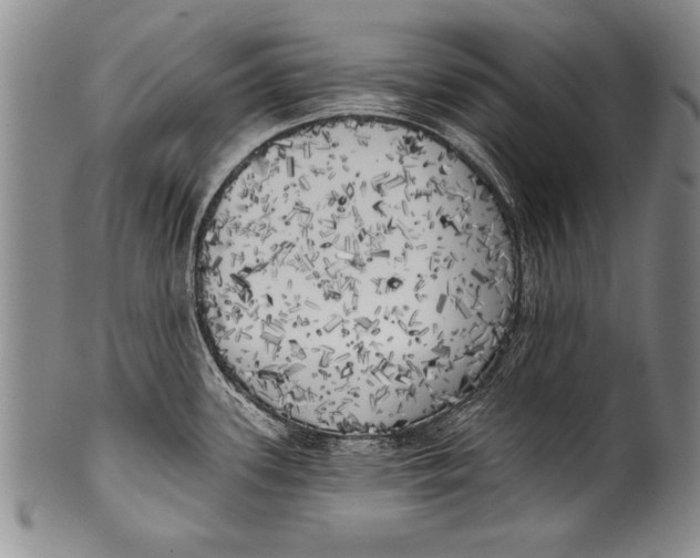 X0000100331339200806261252