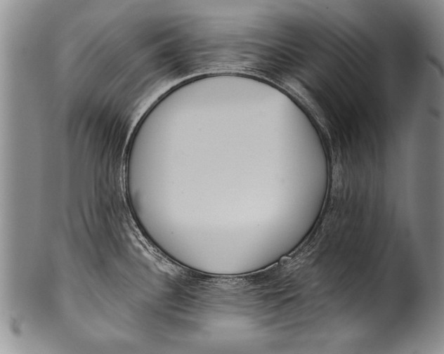 X0000100331340200806261252