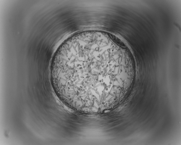 X0000100331341200806261252