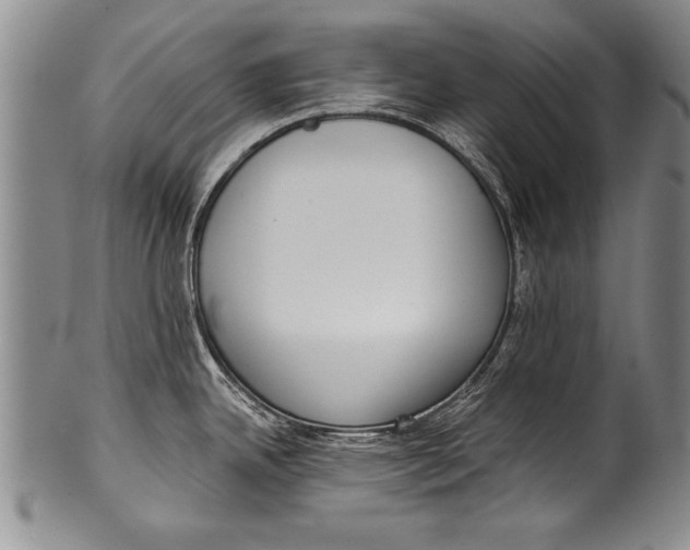 X0000100331342200806261252