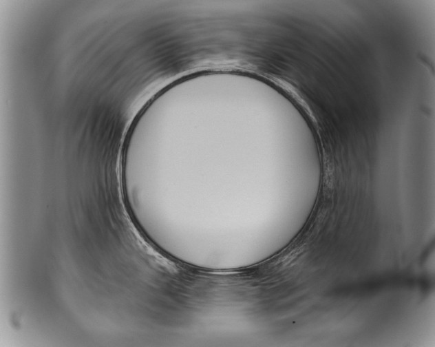 X0000100331343200806261252