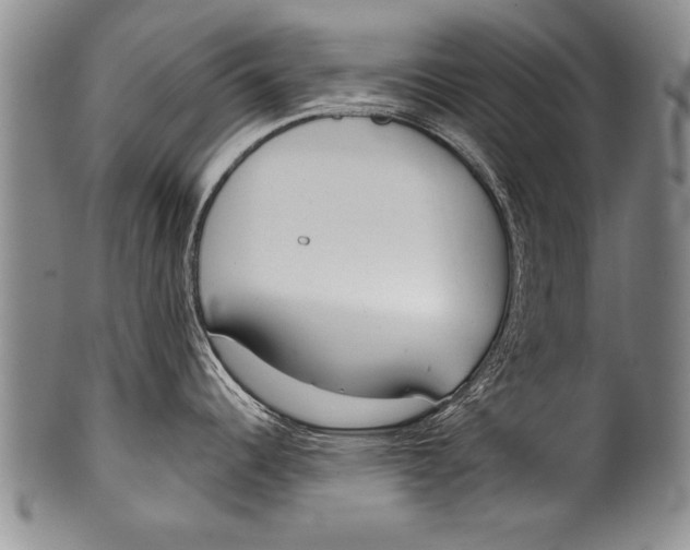 X0000100331344200806261252