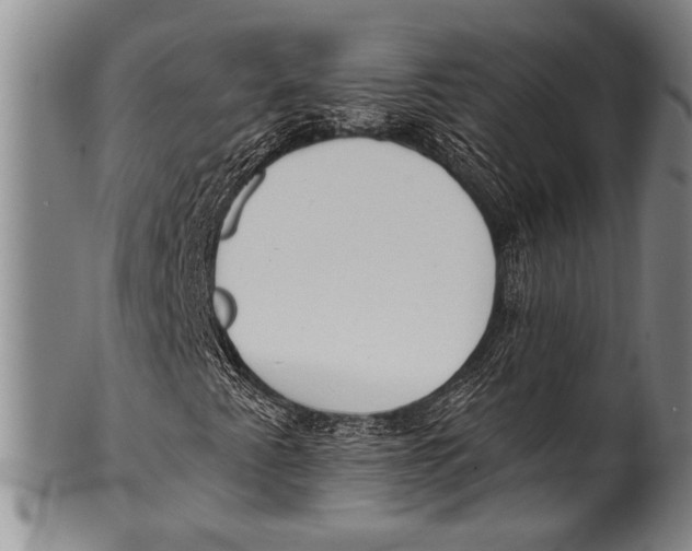 X0000100331345200806261252