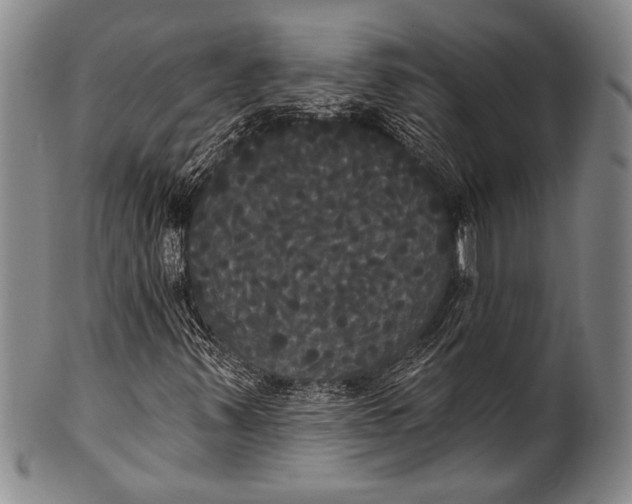 X0000100331347200806261252