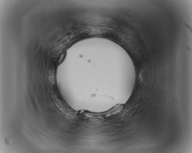 X0000100331348200806261252