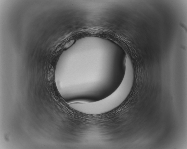 X0000100331349200806261252