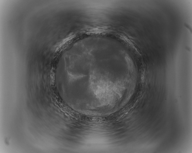 X0000100331350200806261252