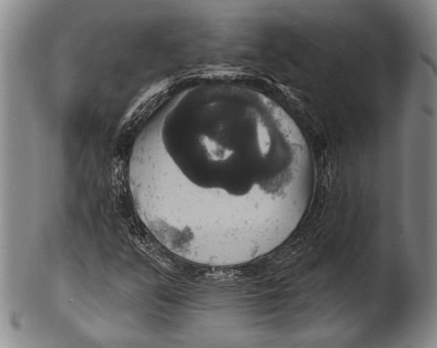 X0000100331351200806261252